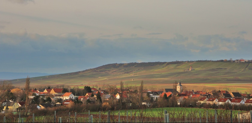 Wallertheim